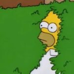 Fãs de Simpsons materializam meme clássico de Homer no mundo real.