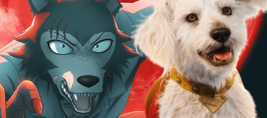 Criador de Beastars homenageia o Superman com adorável transformação do Krypto.