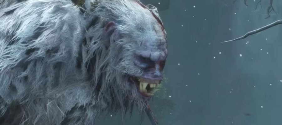 FromSoftware pode estar produzindo novo anime para jogo famoso.