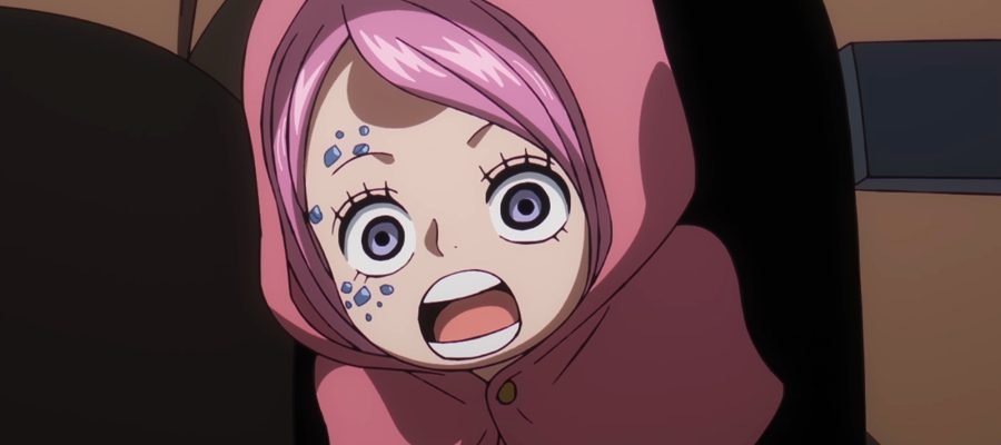 Notícia desanimadora para fãs de One Piece sobre o anime