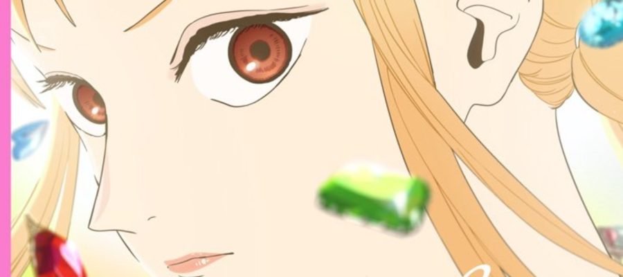 One Piece Revela Novo Anime Derivado Focado nas Heroínas