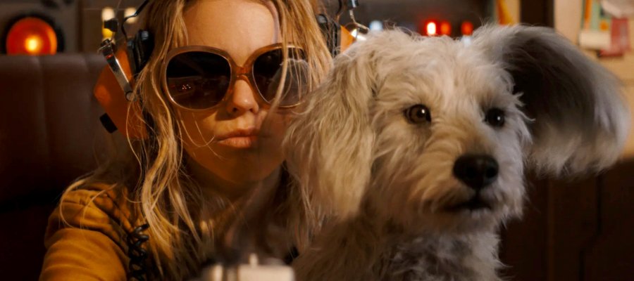 Supergirl e Krypto se reencontram em nova HQ da DC antes do retorno ao cinema em 2026 (mas Dia do Superman decepciona)