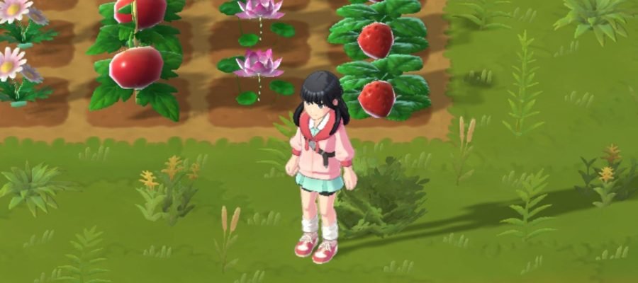 Um novo jogo da série Harvest Moon está chegando aos consoles este ano.